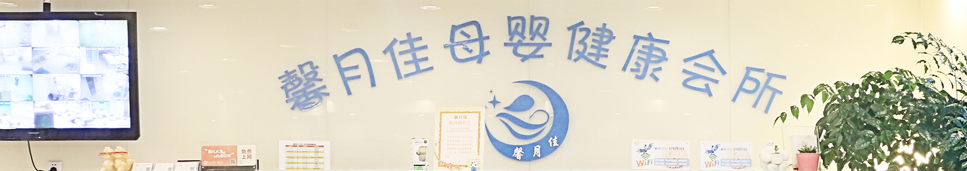 服务特色-蓝颜
-蓝颜
